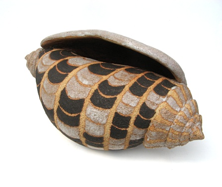 Patterned shell